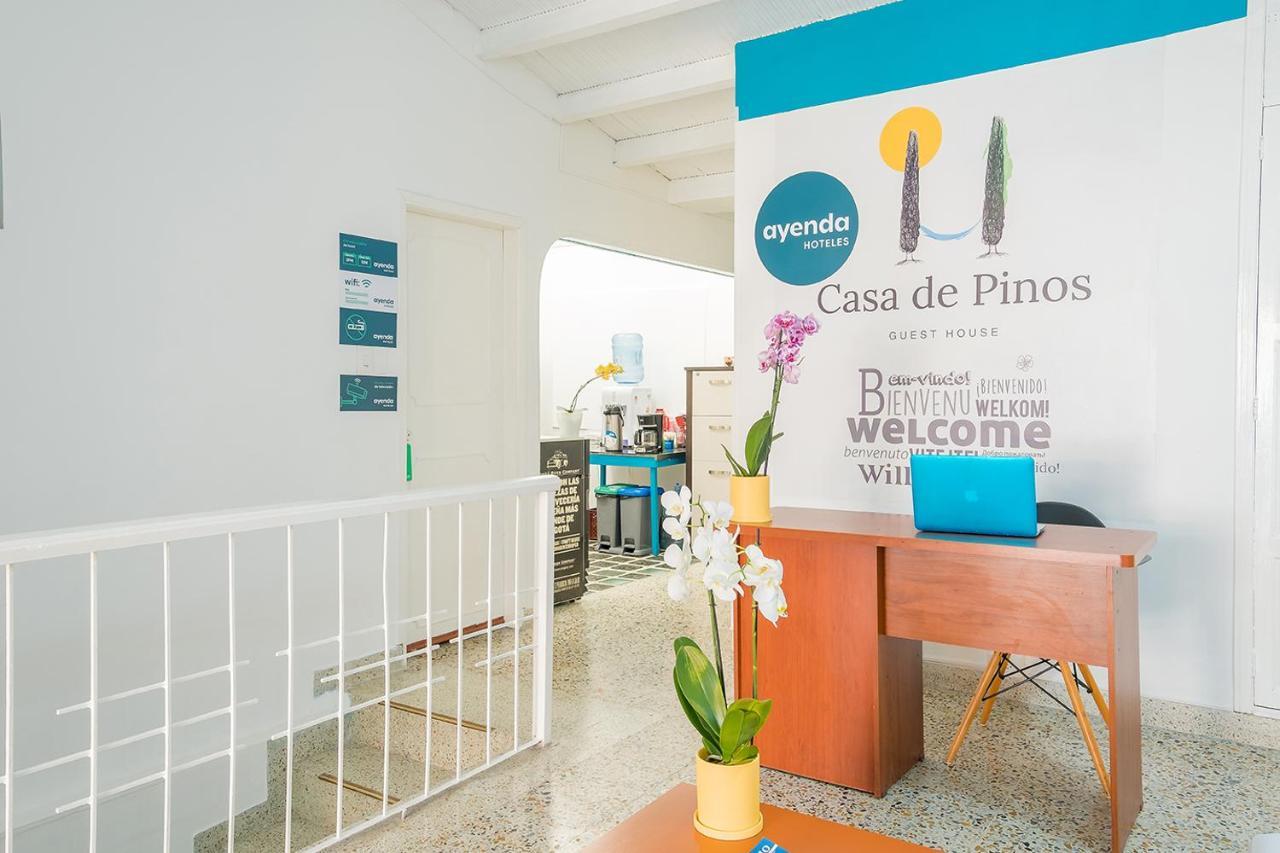 Casa De Pinos Hotel 布卡拉曼加 外观 照片